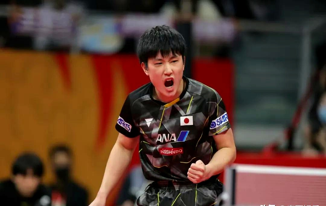 比利时乒乓球队完胜奥地利乒乓球队,张本智和统治全场的简单介绍 比利时乒乓球队完胜奥地利乒乓球队,张本智和统治全场的简单介绍