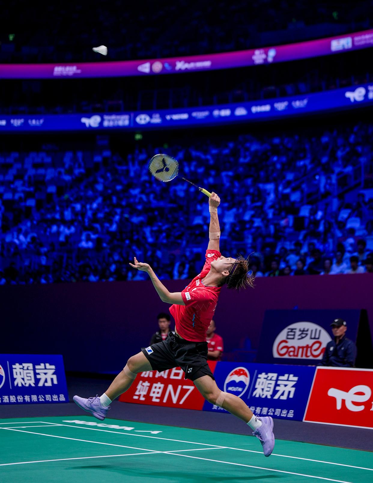 包含马来西亚羽毛球队逆转印度羽毛球队，马琳统治全场的词条