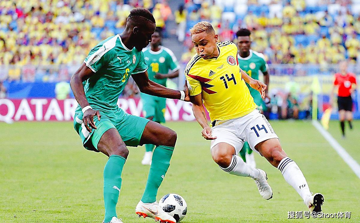 巴西男子篮球队以绝对优势蝉联冠军，不败英雄