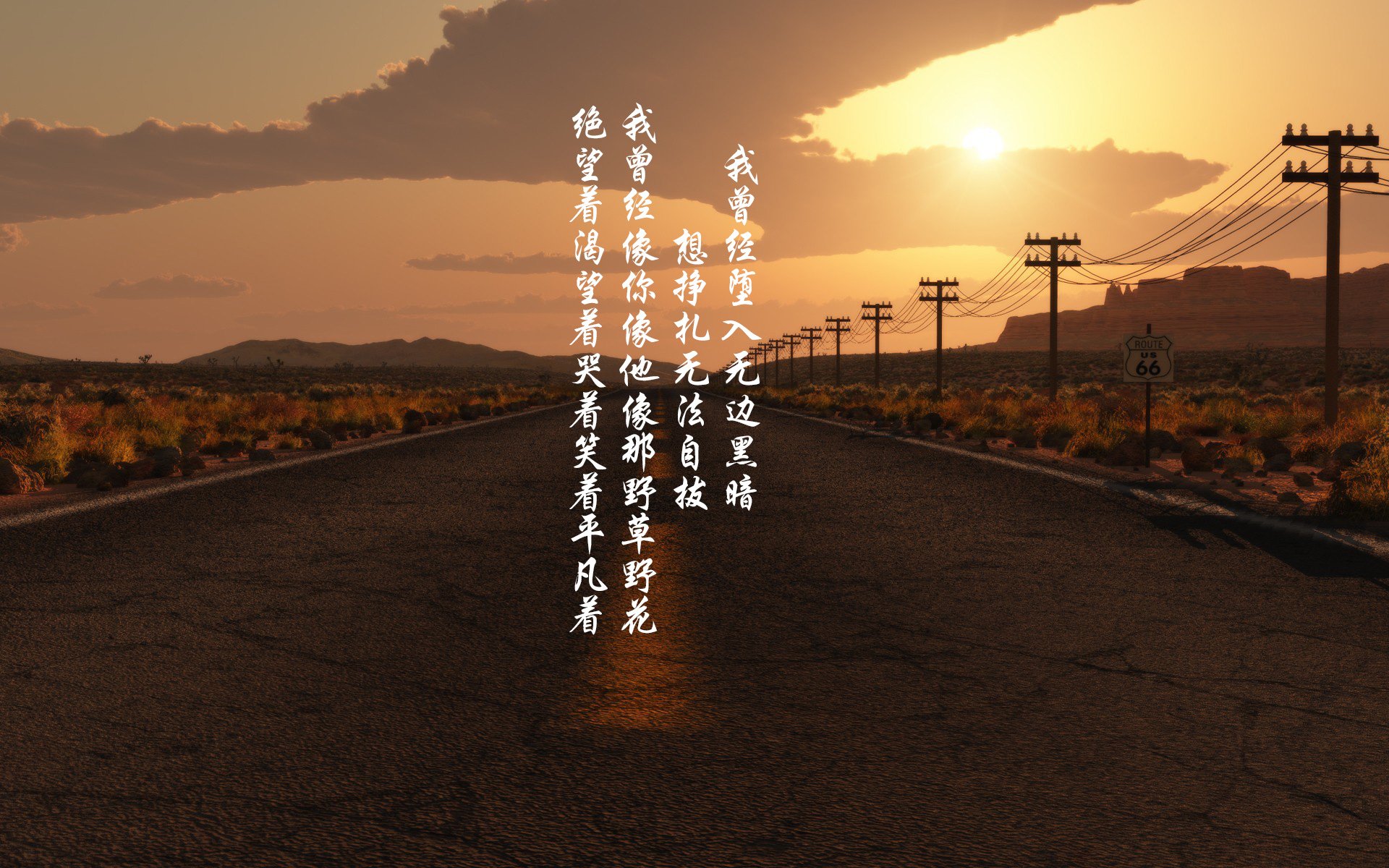 温网炼金术，德约科维奇如何将联合杯的失利淬炼为第24冠的燃料