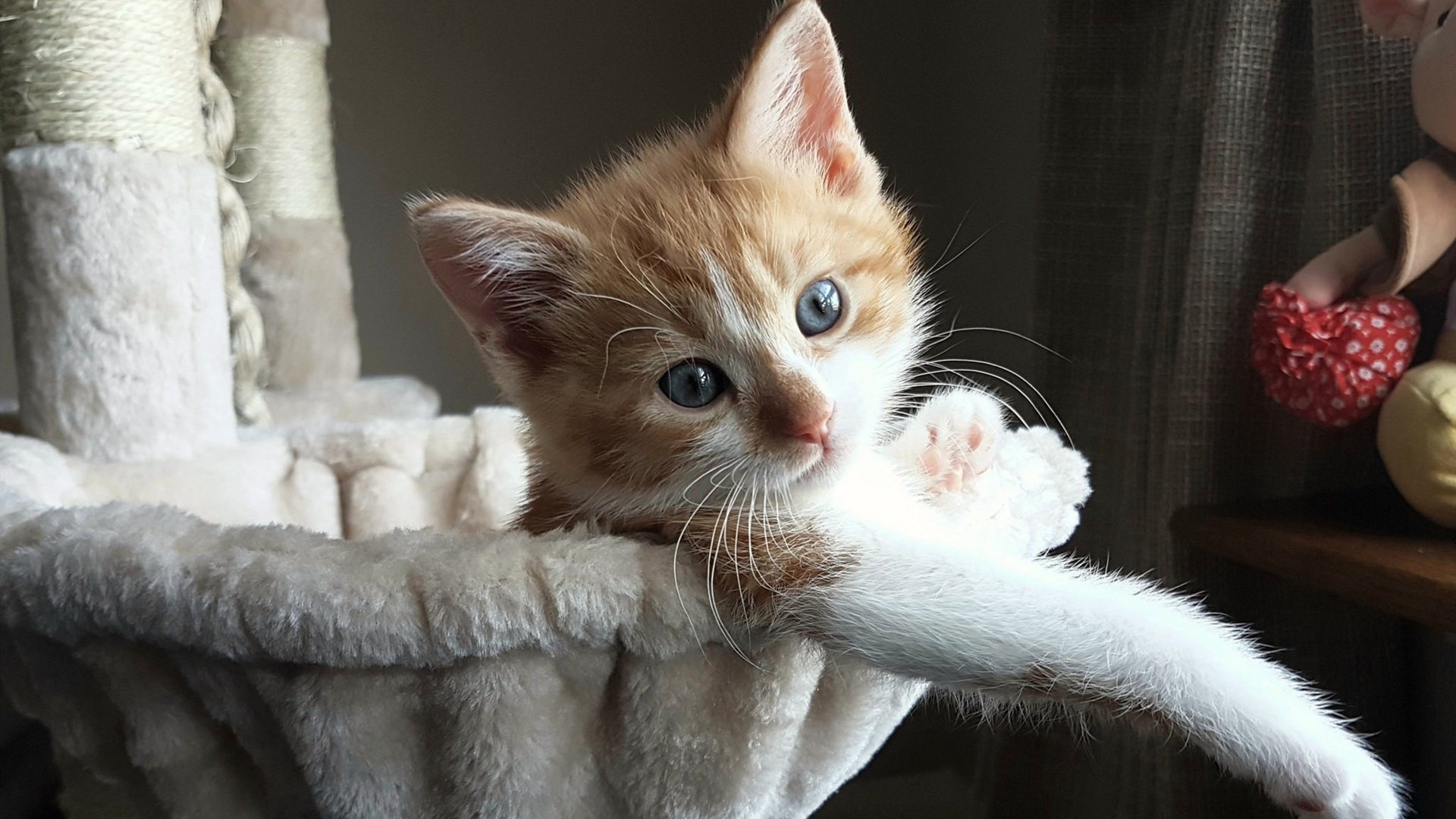 拜仁秩序与巴萨困惑，一场被法比尼奥无声暴政统治的轻取