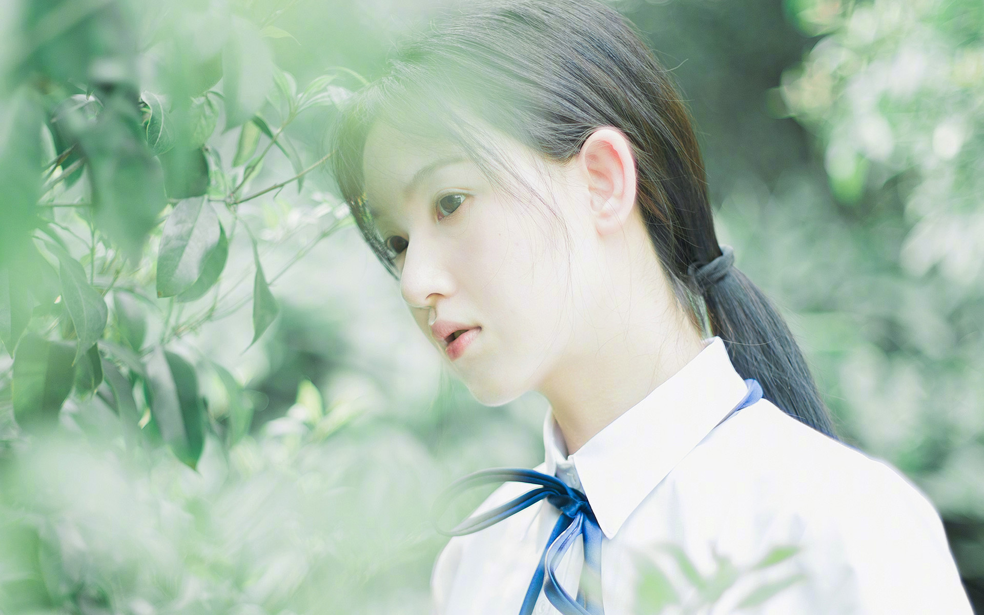 救赎的两种叙事，从凯恩的蜕变到智利的荣耀