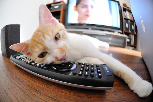 卢安达的琴弦与枫叶之殇，维尼修斯在篮球场谱写的去殖民化叙事