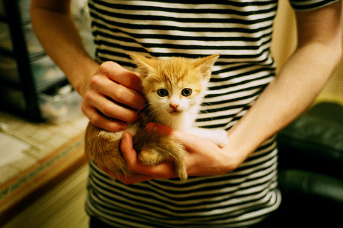 神龟的影子，当阿什拉夫被无形的蛛网捕获，西班牙的逆转如何写就新的足球哲学？