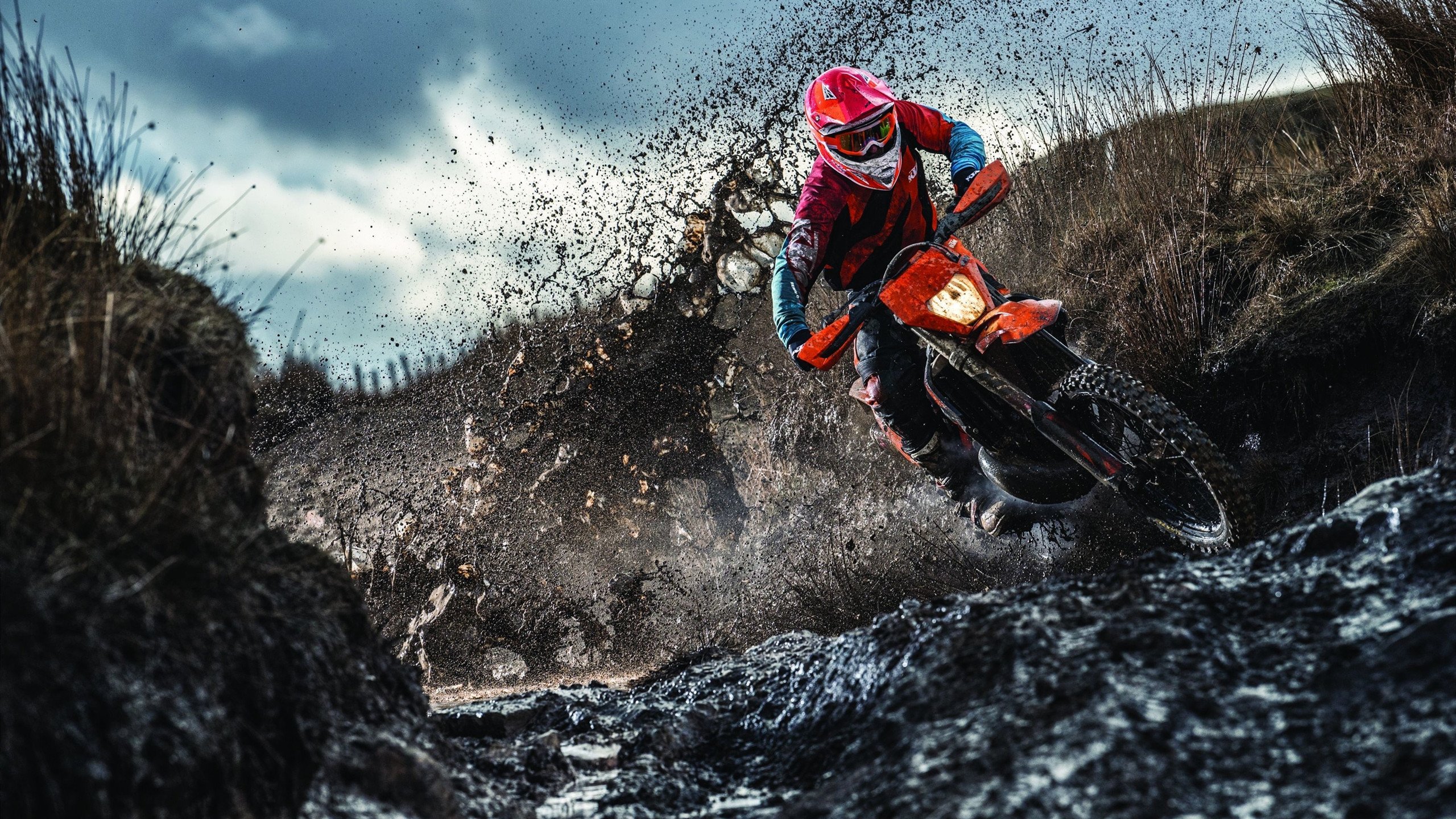 跨界战场,当爵士乐风席卷篮球圣殿,2026的造梦引擎已然启动