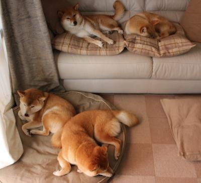 当黄金一代遇上青春风暴，亚特兰大冲垮克罗地亚，内马尔神迹拉开分差