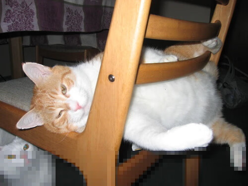 叹息之墙，当埃及的库尔图瓦令韩国足球陷入永恒困惑