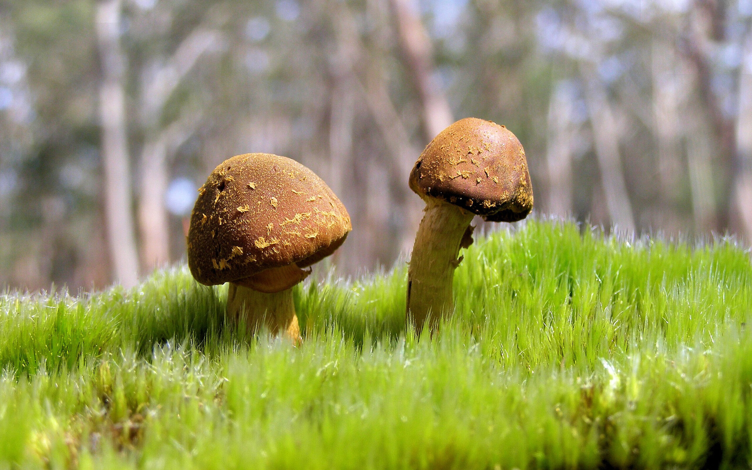 当篮球终场哨遇上非洲鼓点，竞技场上的隔空共鸣