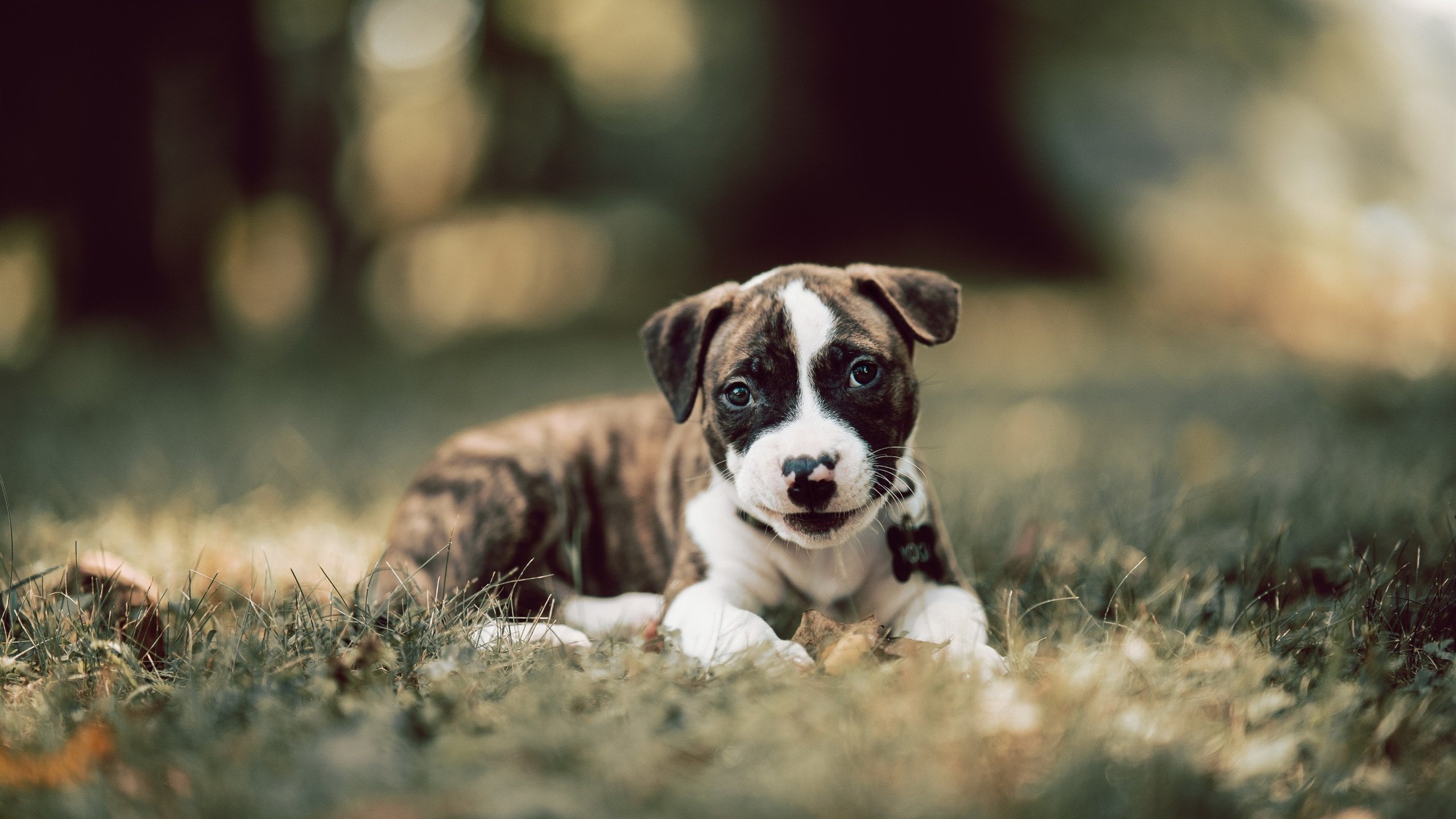 关键先生帕尔默的致命三分，巴拉圭一波流带走智利的战术密码与成长烙印