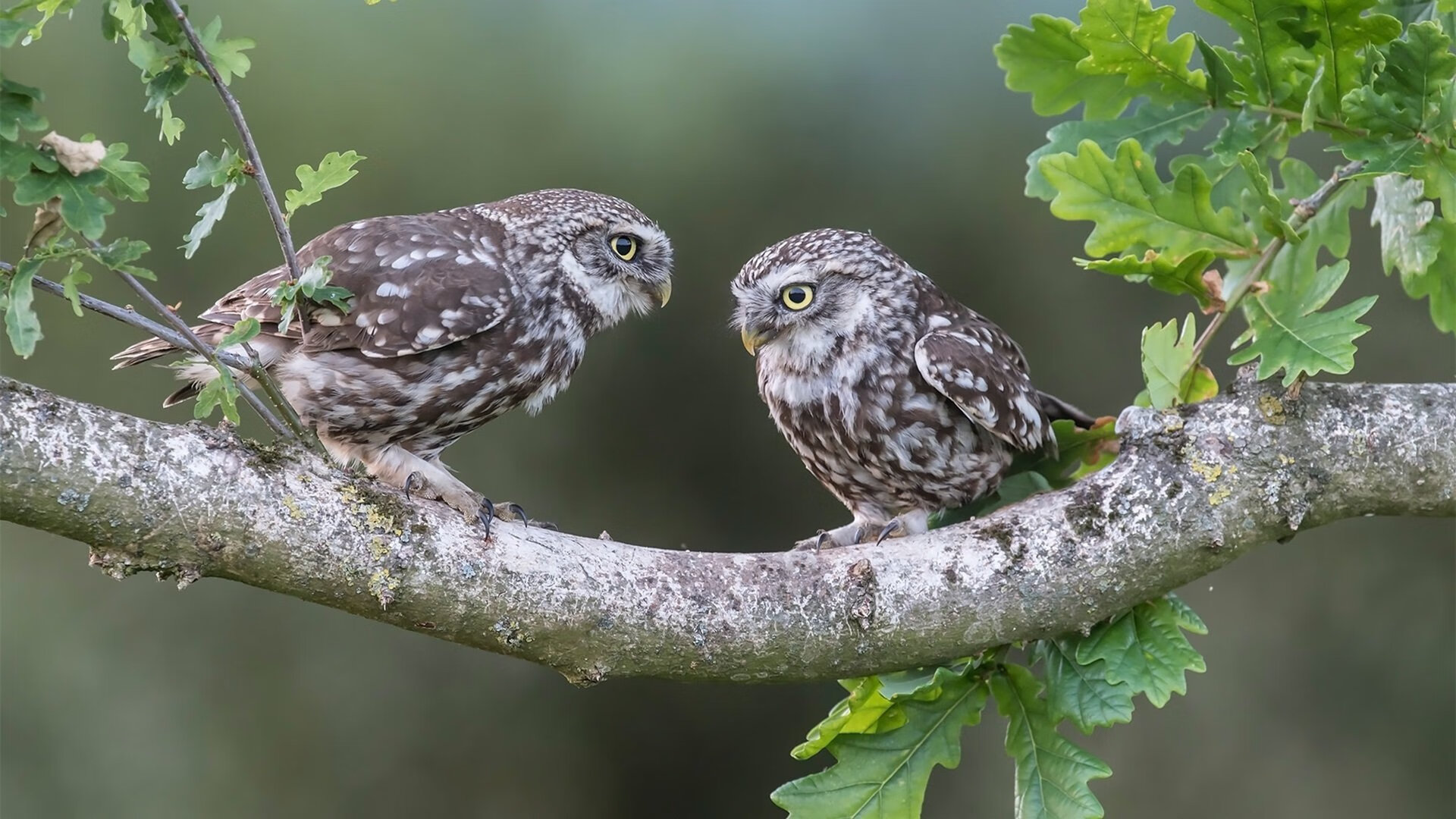 足球地理的错位重写，芬兰赫尔辛基，一场32分钟的超现实风暴席卷曼联