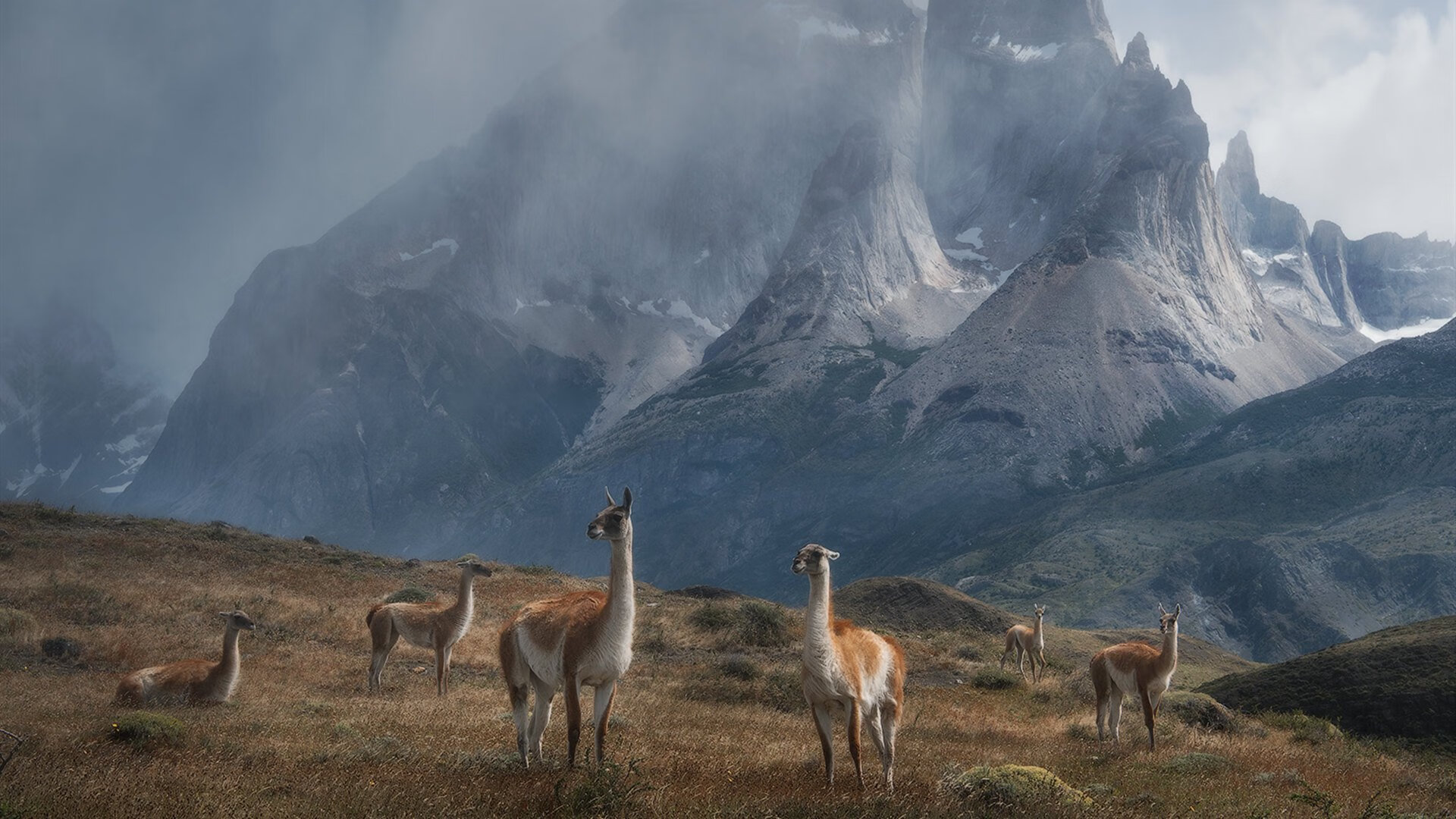双星闪耀，孙兴慜与新西兰队如何在同一周改写了各自的剧本
