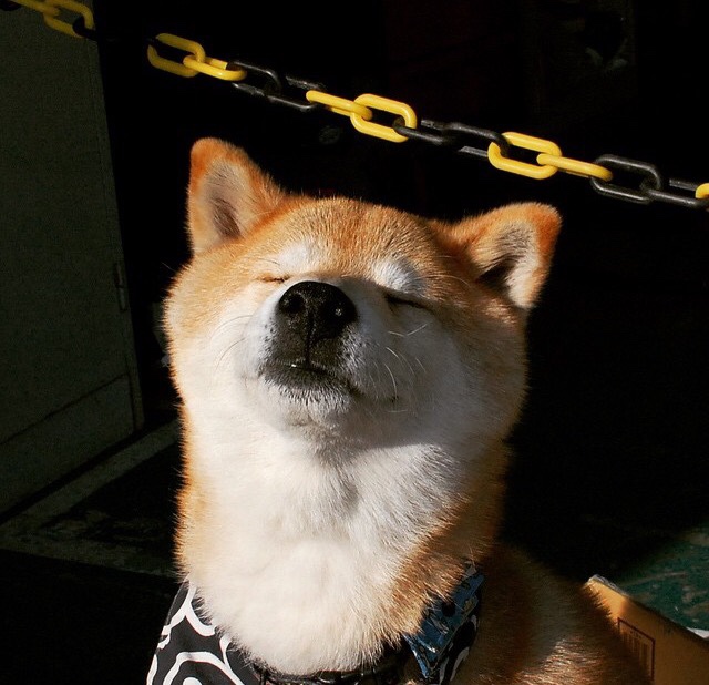 宿命之约，当蓝色艺术之魂遭遇黑金钢铁洪流