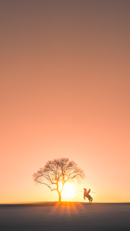 黄金淬炼，萨卡如何在2026世界杯之夜撕碎防线