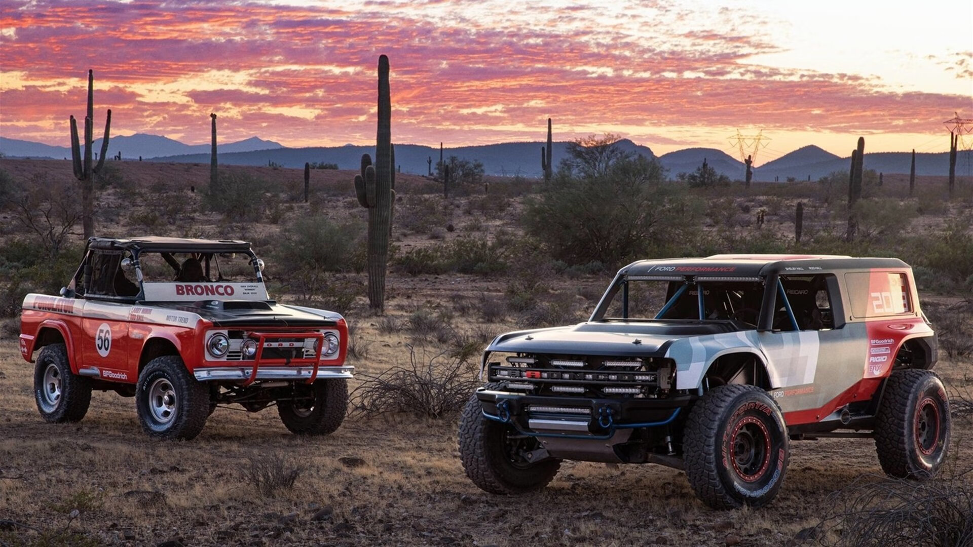 北极星的两面，当范戴克冲破界限，毕尔巴鄂静待重开