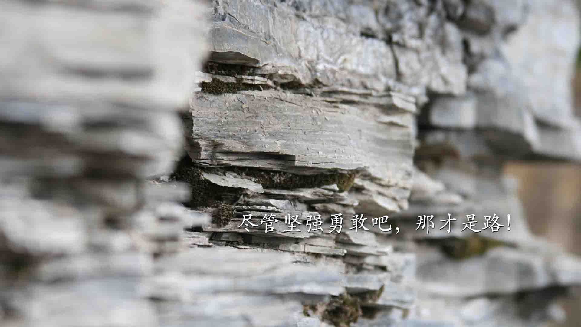 他的进球是一则宣言，在开场哨的回响里提前扼杀了整个夜晚