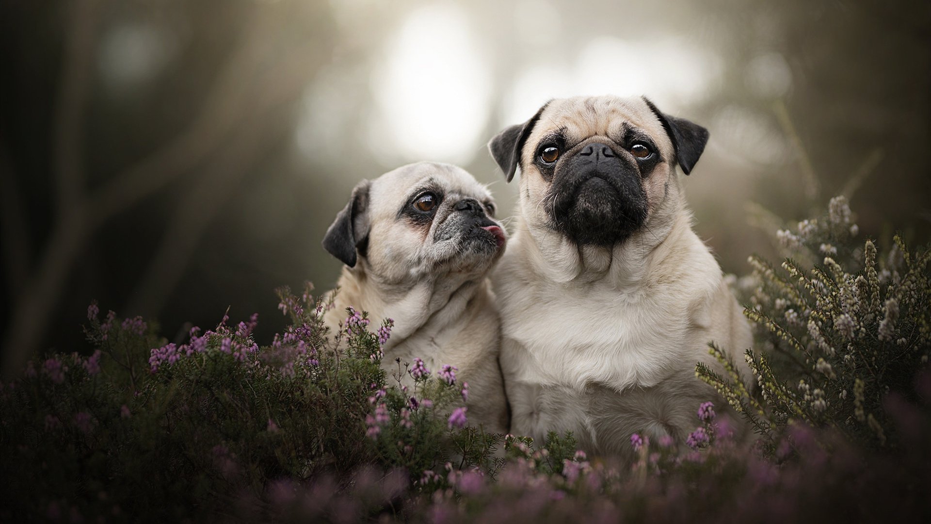 雷霆万钧！乔治三分雨刷新纪录率队力擒爵士