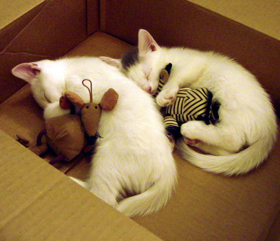 37岁保罗轰45+14创历史，老鹰末节惊天逆转开拓者