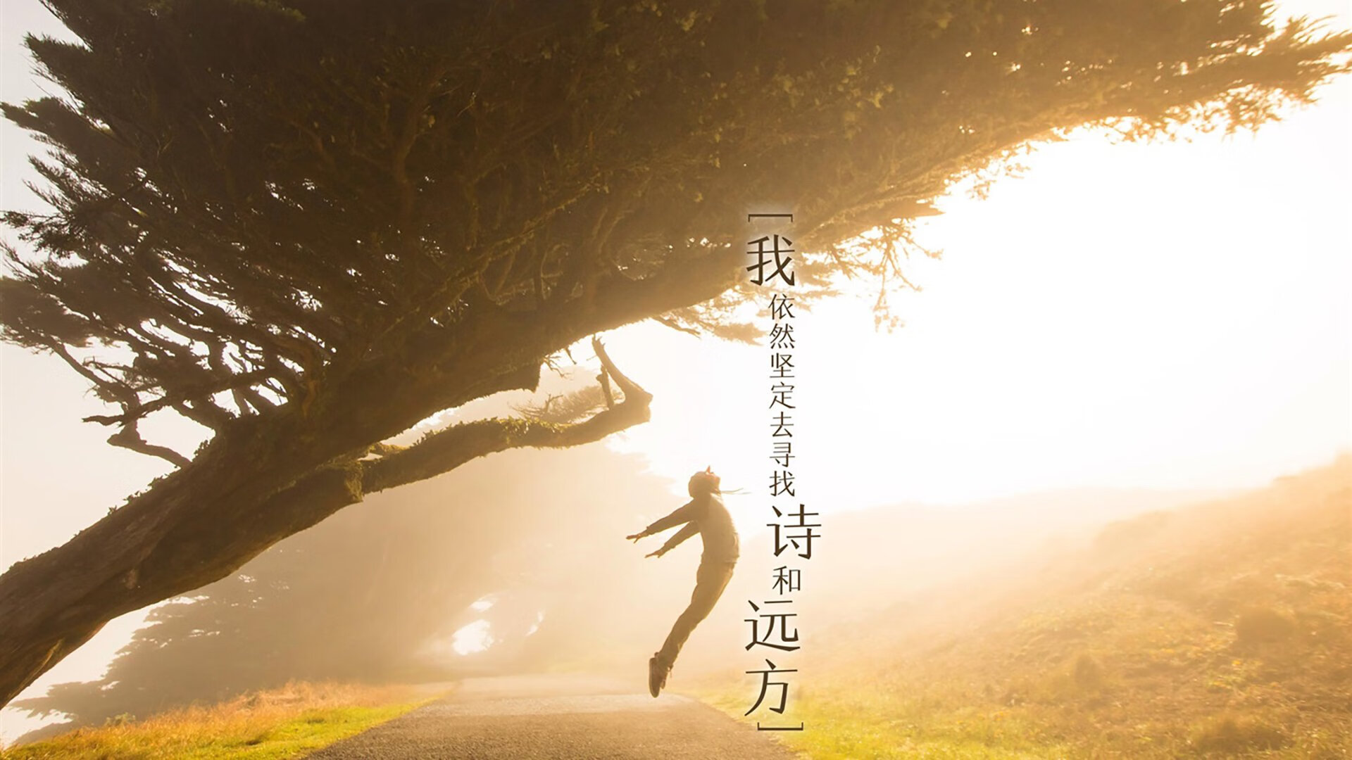 在北纬59度的寒夜里,一道来自阿森纳的光,萨卡如何在2026世界杯G组终结挪威神话