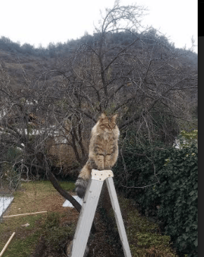 孤星独耀，布罗佐维奇与斯洛伐克在2026世界杯H组写下的唯一篇章